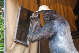 Jungle-cruise-gorilla-scene-1