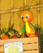 OrangeBird1-467x700.webp (38 KB) The Orange Bird atop a crate of Sunshine Tree Terrace Brand oranges