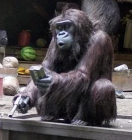 Gorillawithagun