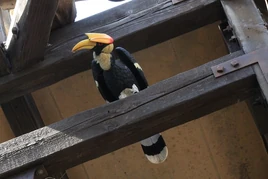 6947692503 2b413c573b