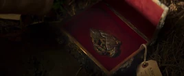 Jungle Cruise Arrow Head