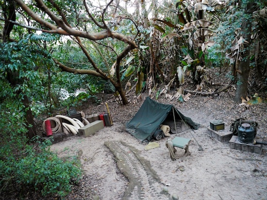 kilimanjaro safaris poachers