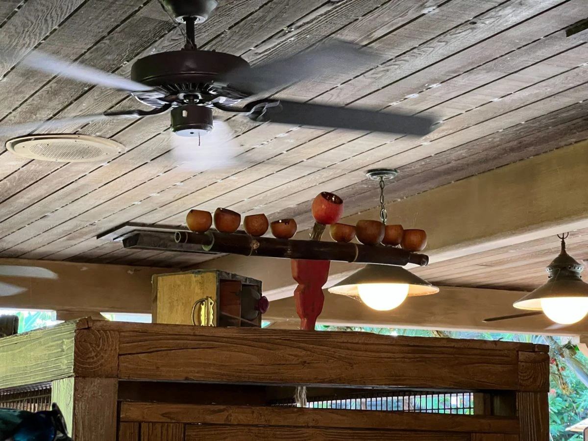 Hanukkah menorah Jungle Cruise Wiki Fandom