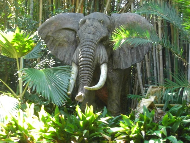 African bull elephant | Jungle Cruise Wiki | Fandom