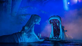 Tokyo-disneyland-jungle-cruise-feat-131