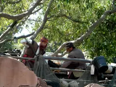 Indiana Jones fighting Desert Hawk