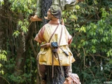 Lost Safari photographer