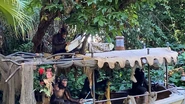 During the Jingle Cruise