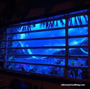The Tropical Snowstorm of Adventureland