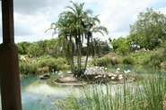 The hidden Mickey of Flamingo Island