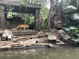 Irrawaddy ruins