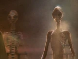 Interdimensional beings