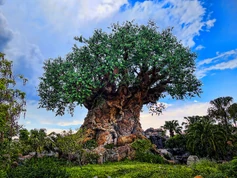 Disney Animal Kingdom (27589660700)