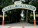 Silver Springs