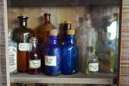Jungle-Cruise-Props-8-10-21-11-4942948-1200x800