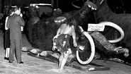 The mammoth from Ford's Magic Skyway