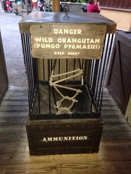 Image-18-05-14-21-20-4