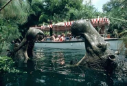Wdw-jungle-cruise.jpg (92 KB)