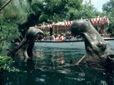 Hippo Pool