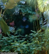 The gorilla later repurposed for Matterhorn Bobsleds