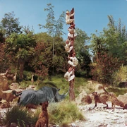 TrappedSafariRacist
