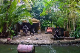 Jungle-Cruise3