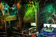 A representation of the jungle in the queue
