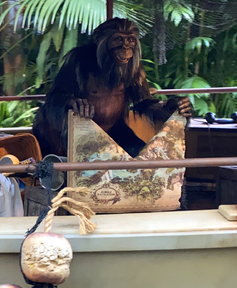 The map of the Magic Kingdom's Jungle Cruise