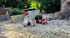 Jingle-cruise-45-9558635-1200x664