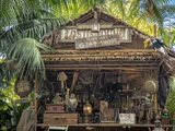 List of Racist Elements in the Jungle Cruise