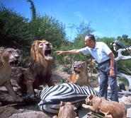 Walt Disney with the lions