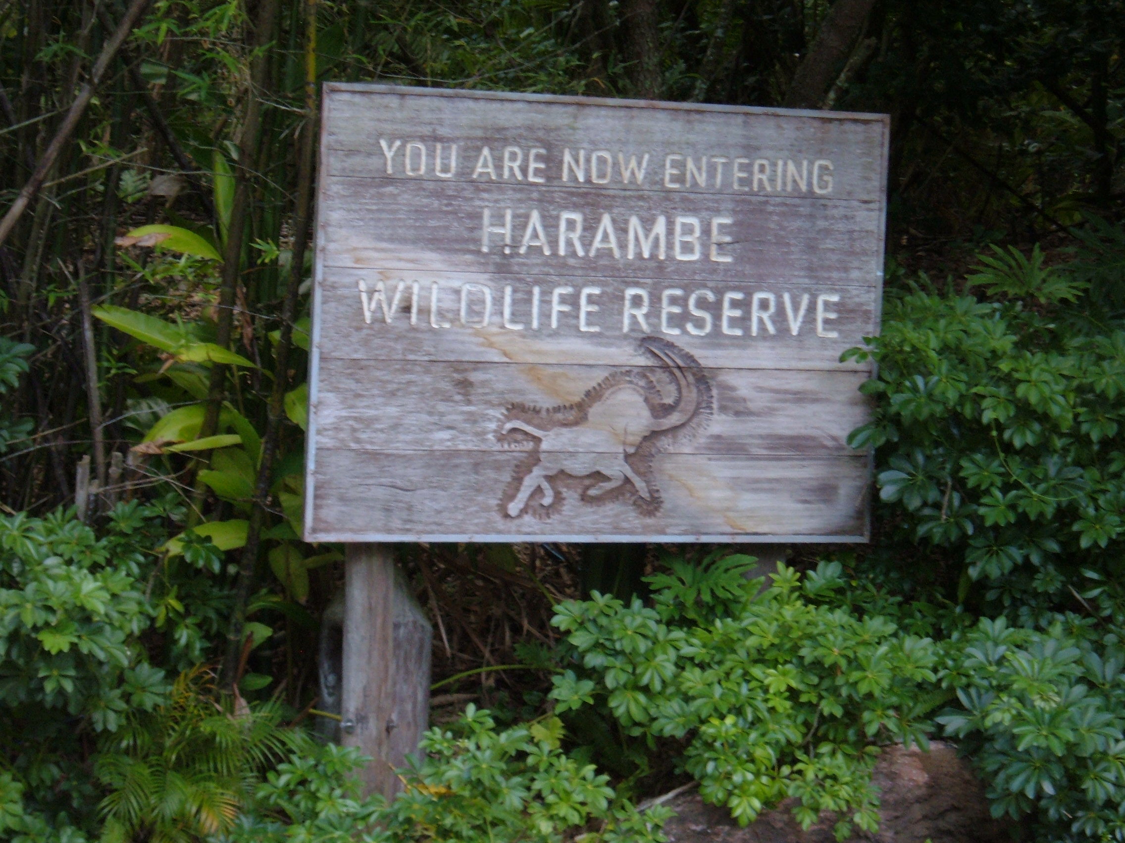 Wildlife - Wikipedia