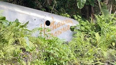 Jungle-cruise-plane-2-5523846-1200x675