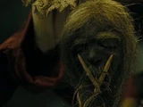 Shrunken heads