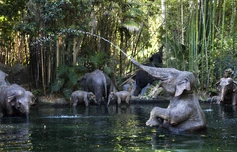 Jungle Cruise Disneyland 02