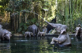 Jungle Cruise Disneyland 02