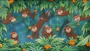 Jungle-emperor-leo-Monkeys