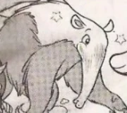 Anteater-Monica-kimbathewhitelion