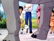 Pdvd 018.jpg (15 KB)