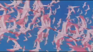 JEL97-Flamingos.png (1.38 MB)