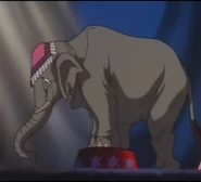 JEL Asian Elephant.jpg (260 KB)
