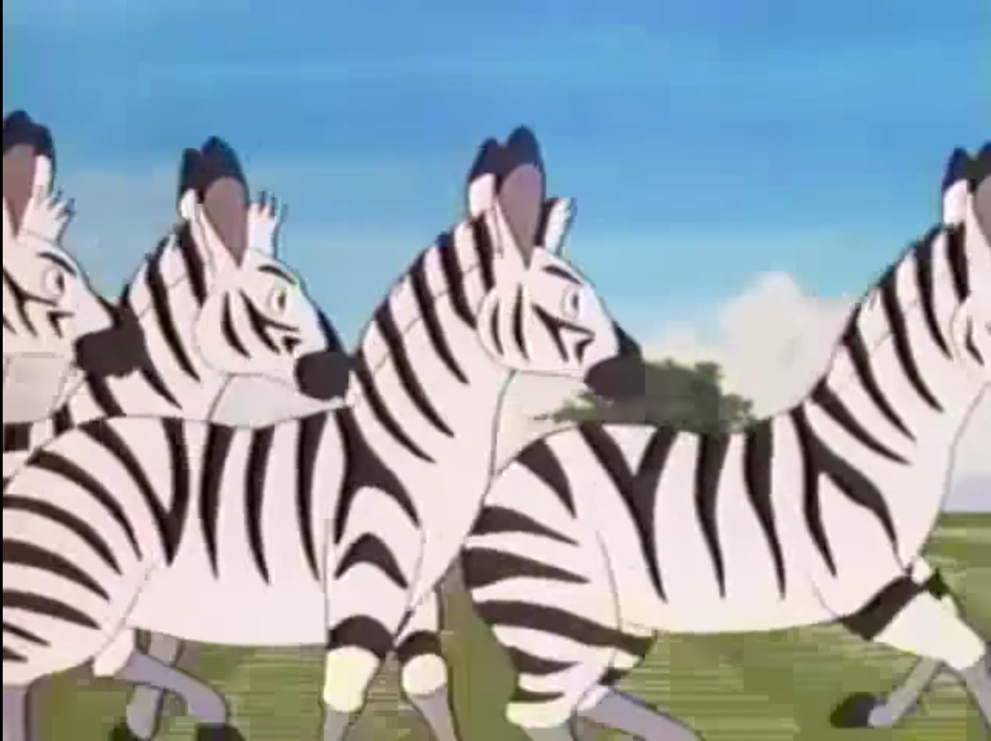 Verplaatsbaar kaping zuur Zebra | Jungle Emperor Leo Wiki | Fandom