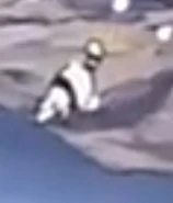 Anteater like creature.jpg (17 KB)