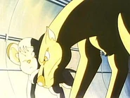 Pdvd 042.jpg (14 KB)