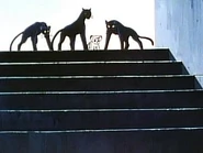 Pdvd 037.jpg (12 KB)