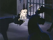 Pdvd 029.jpg (12 KB)