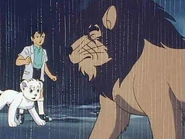 15a700fc62f49c14e.jpg (59 KB)