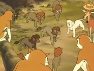 Kimba stopping the Barbary lions