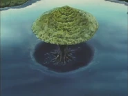 The Tree.jpg (399 KB)