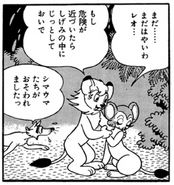 Kimba and Lyra in the manga.